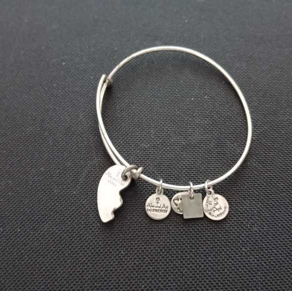 Alex and Ani Vintage Best Friends Bracelet - Picture 6 of 8